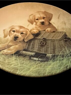 Collector plate 1991 “Gone Fishin” Knowles china plate